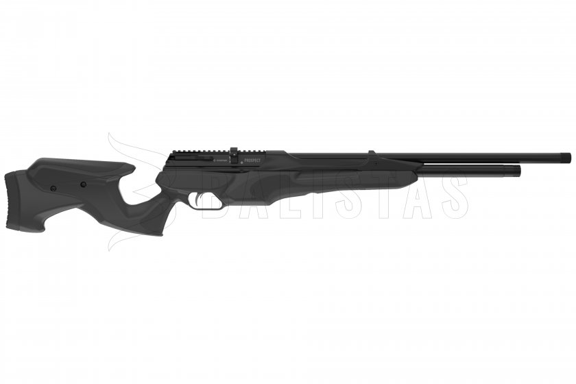 Carabine à air comprimé Crosman Prospect 5,5mm