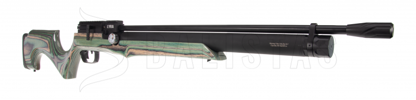 Carabine à air Reximex Lyra green/grey lamino 5,5mm