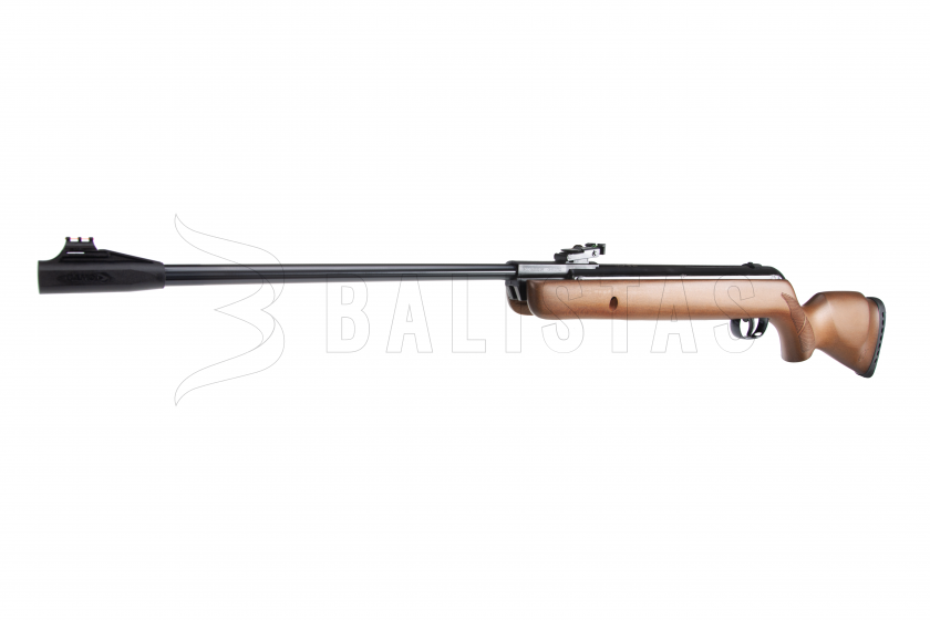 Carabine à air comprimé Gamo Big Cat Hunter 5,5mm - 21J