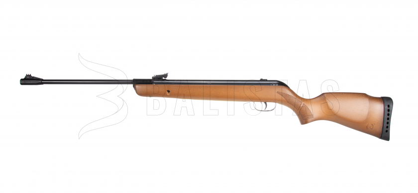 Carabine à air comprimé Gamo Big Cat Hunter 5,5mm - 21J
