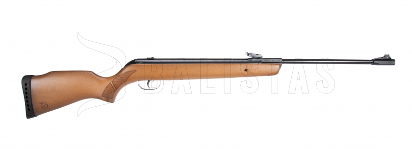 Carabine à air comprimé Gamo Big Cat Hunter 5,5mm - 21J