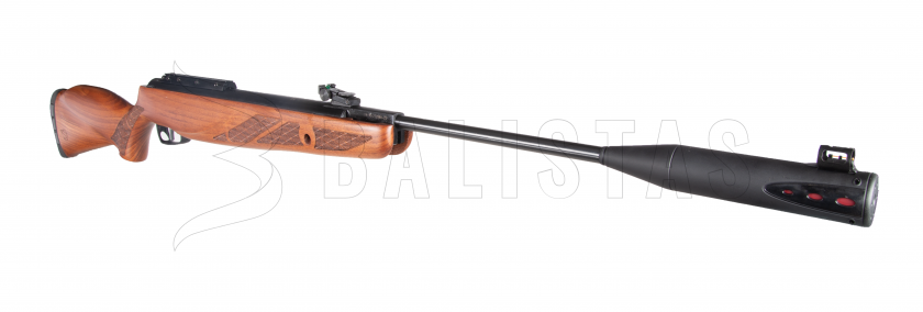 Carabine à air comprimé Gamo Hunter 1250 Grizzly Pro IGT 5,5mm 36J