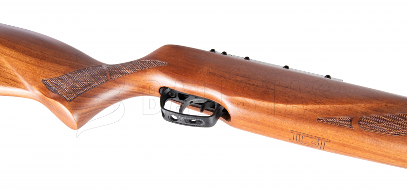 Carabine à air comprimé Gamo Hunter 1250 Grizzly Pro IGT 5,5mm 36J