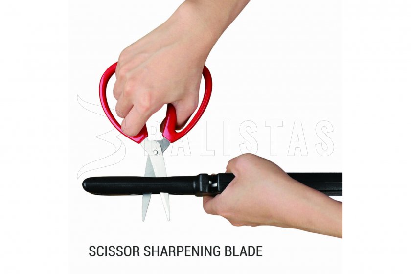 Aiguisoir Ganzo ProSharp