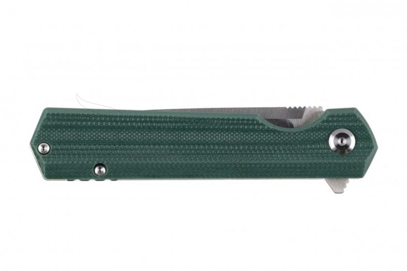 Couteau pliant Ganzo Firebird FH11S-GB vert