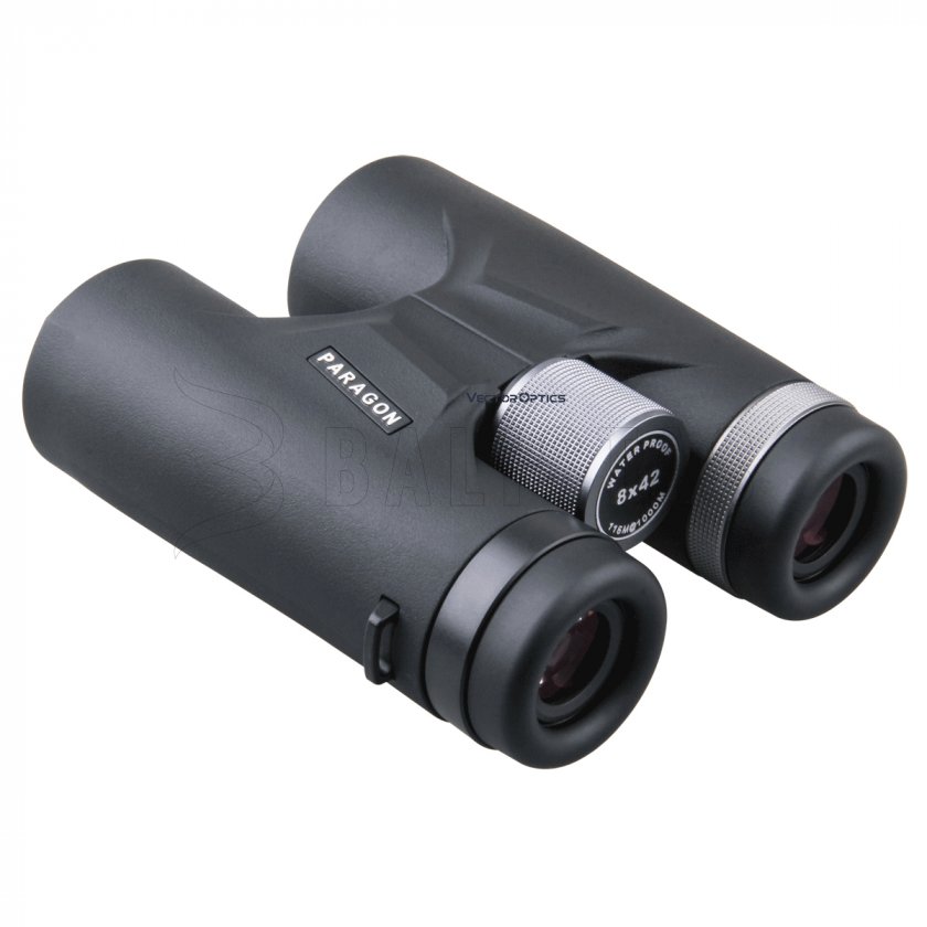 Jumelles Vector Optics Paragon 8x42
