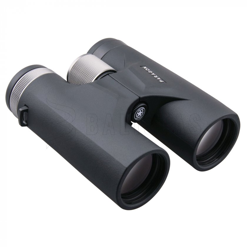 Jumelles Vector Optics Paragon 8x42