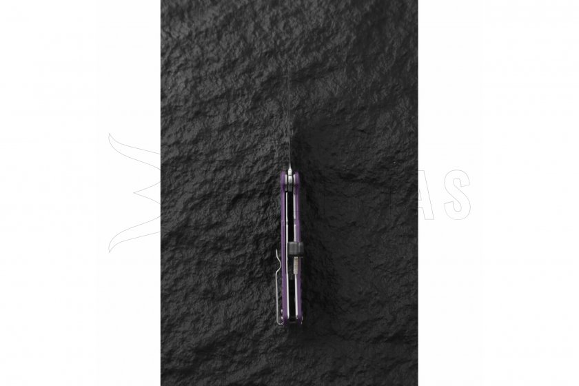 Ganzo G769-BK couteau de fermeture