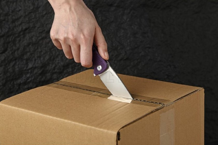Ganzo G769-BK couteau de fermeture