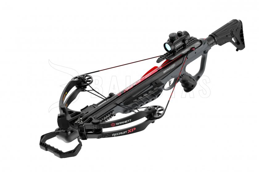 Arbalète à poulies Barnett Recruit XP 150lb