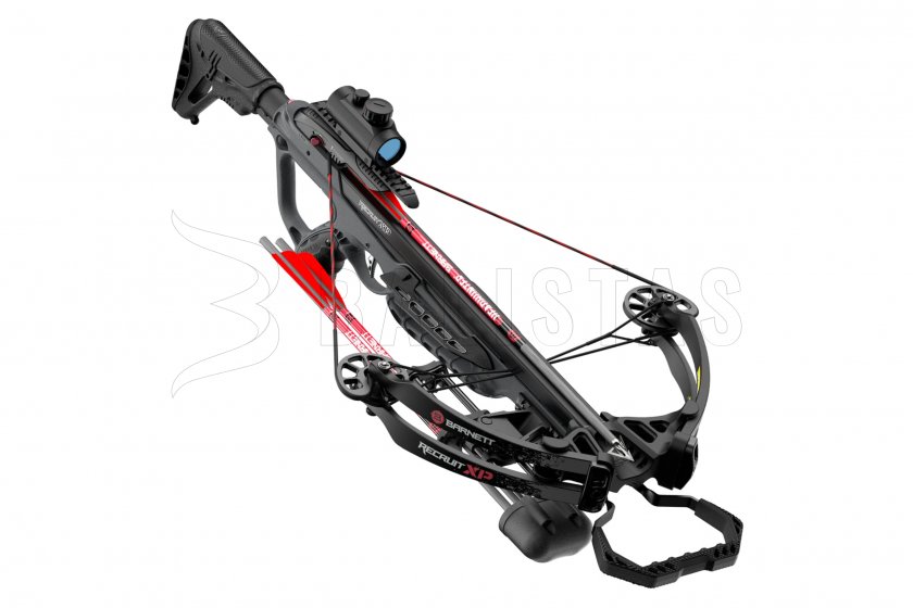 Arbalète à poulies Barnett Recruit XP 150lb