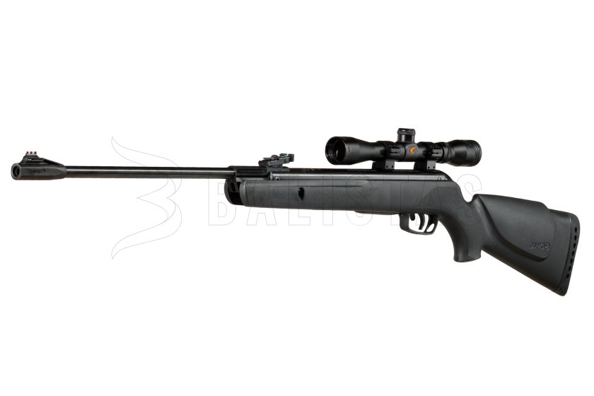Carabine à air comprimé Gamo Big Cat 1000 4,5mm set 3