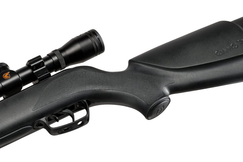 Carabine à air comprimé Gamo Big Cat 1000 4,5mm set 6