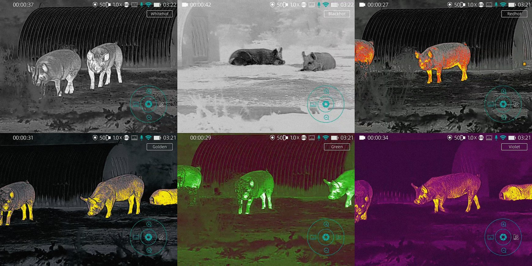 ThermTec Wild color modes